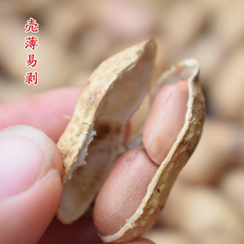 农家湿炒花生支持一件代发