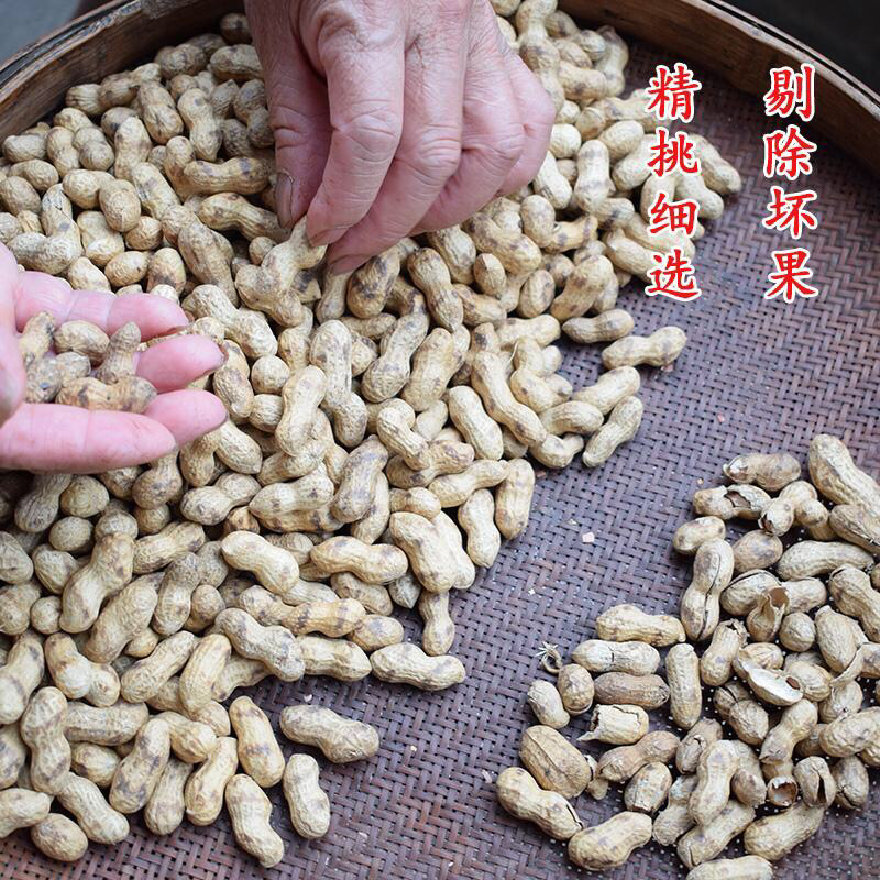 宁化湿籽花生