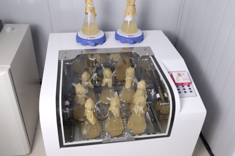 菌包出售