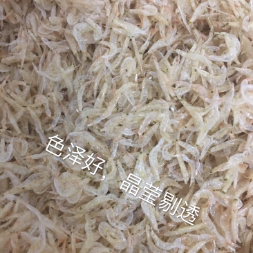 虾