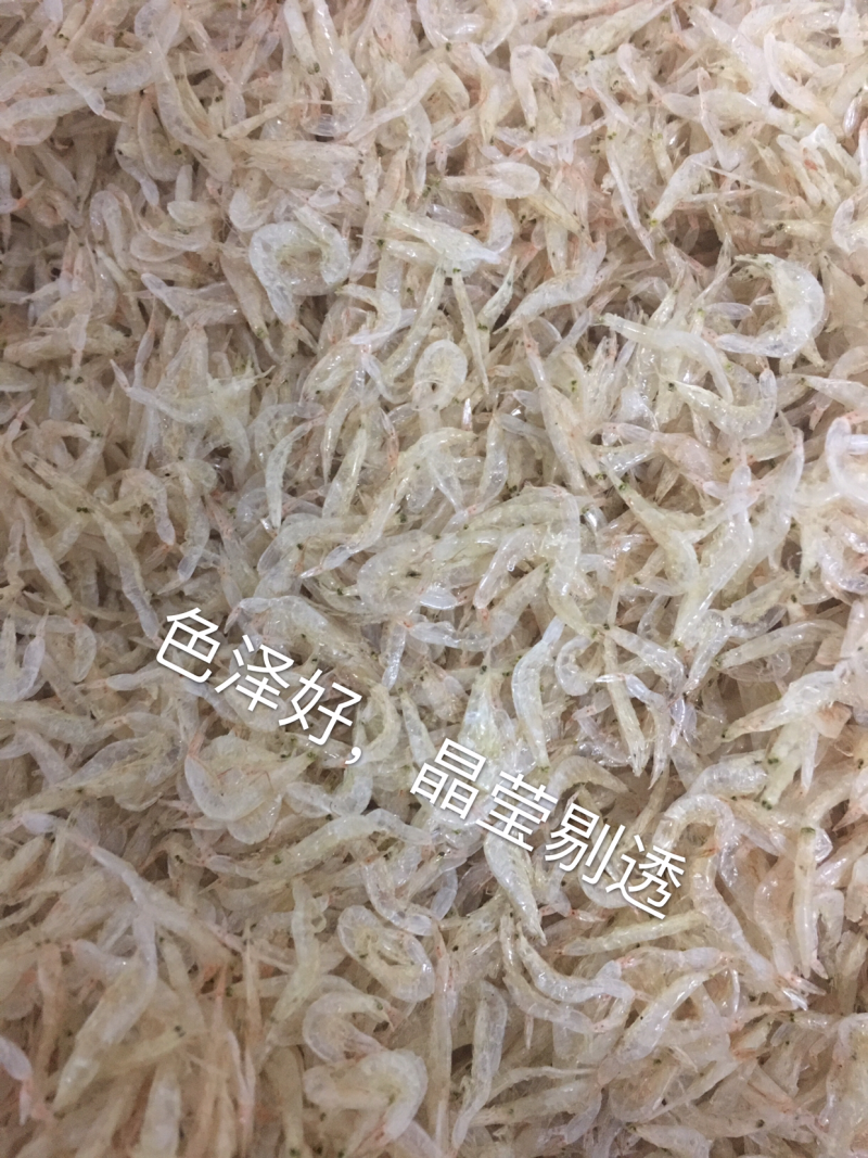 虾