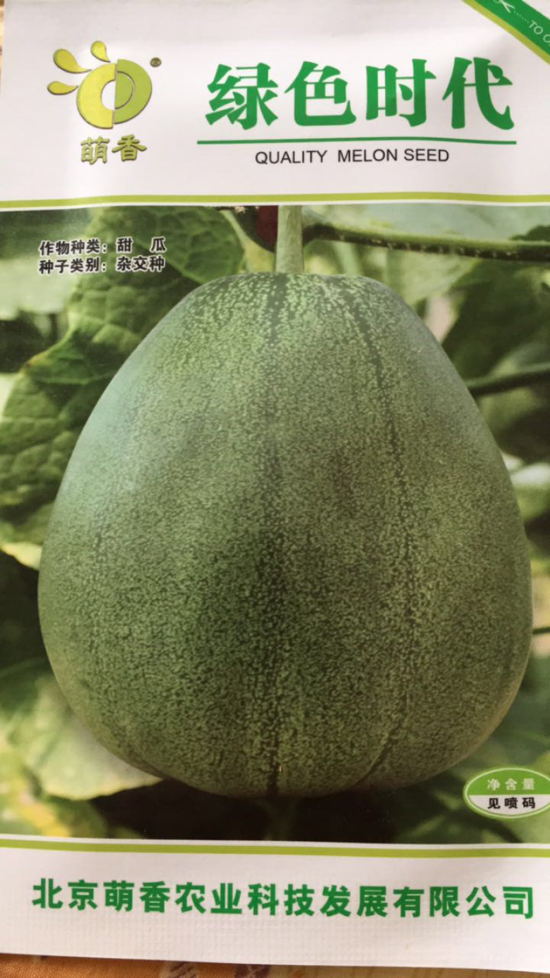 绿色薄皮甜瓜种子一绿色时代