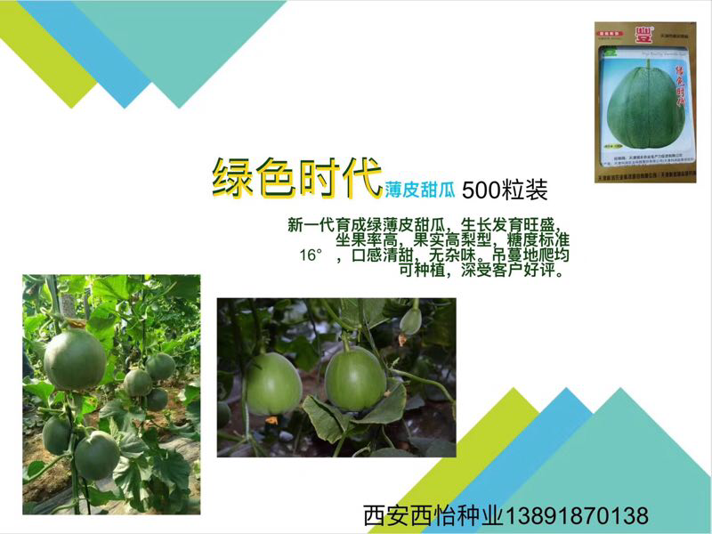 绿色薄皮甜瓜种子一绿色时代