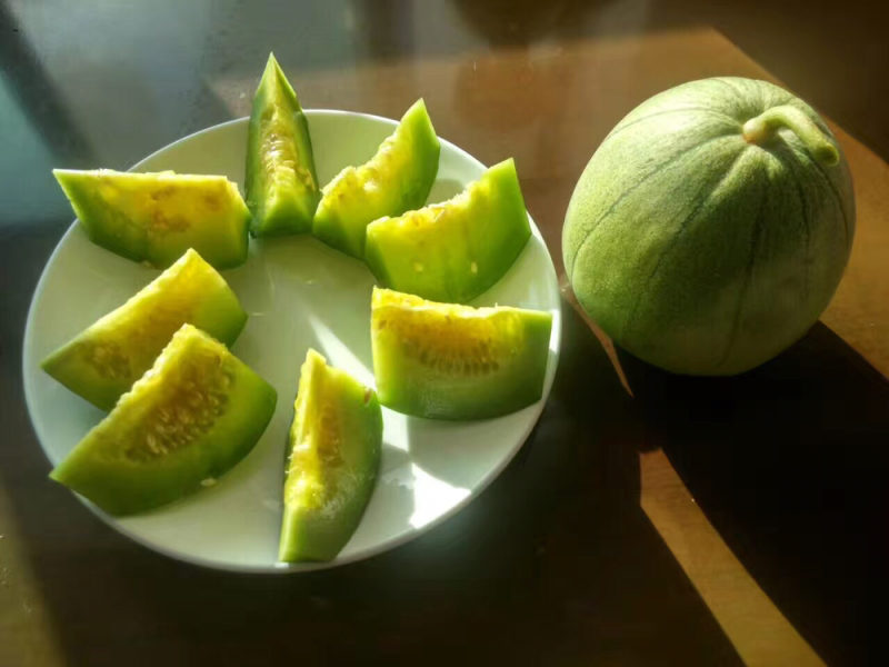 绿色薄皮甜瓜种子一绿色时代