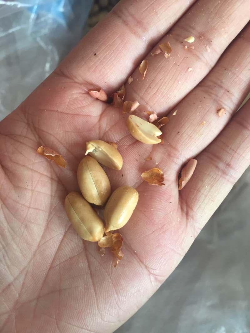 宁化湿炒花生。上新后发货