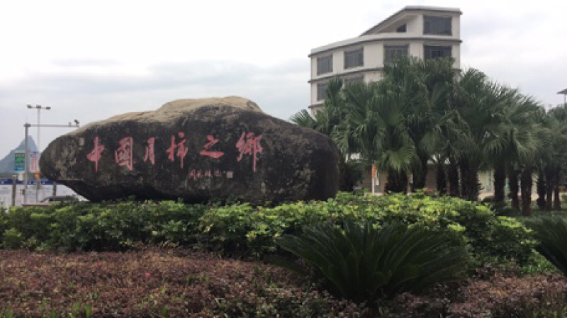 广西恭城脆柿子精品果独立包装个大脆甜产地大量供应脆柿