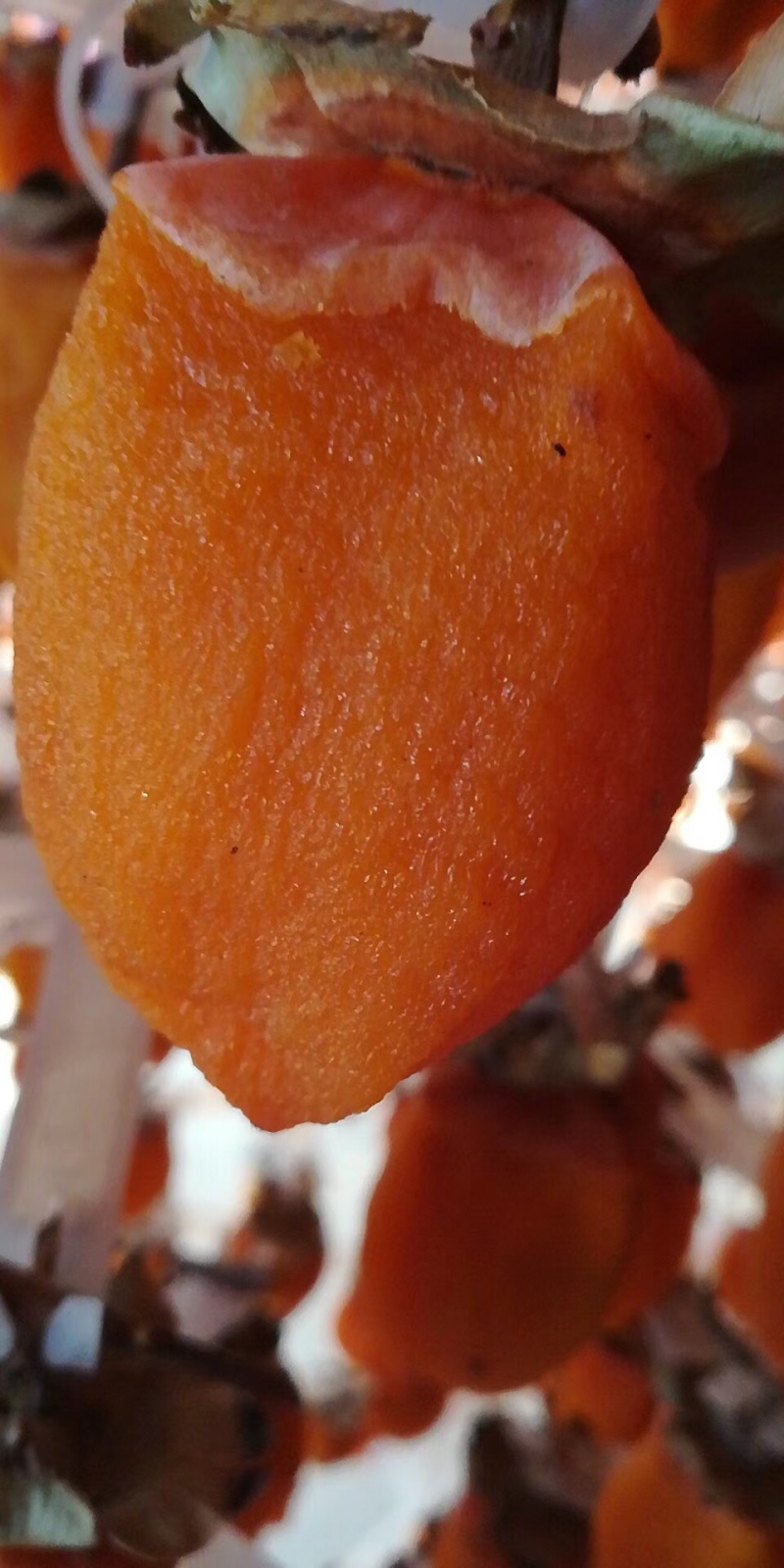 富平特级柿饼