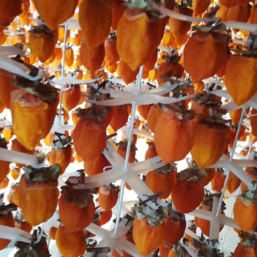 富平特级柿饼