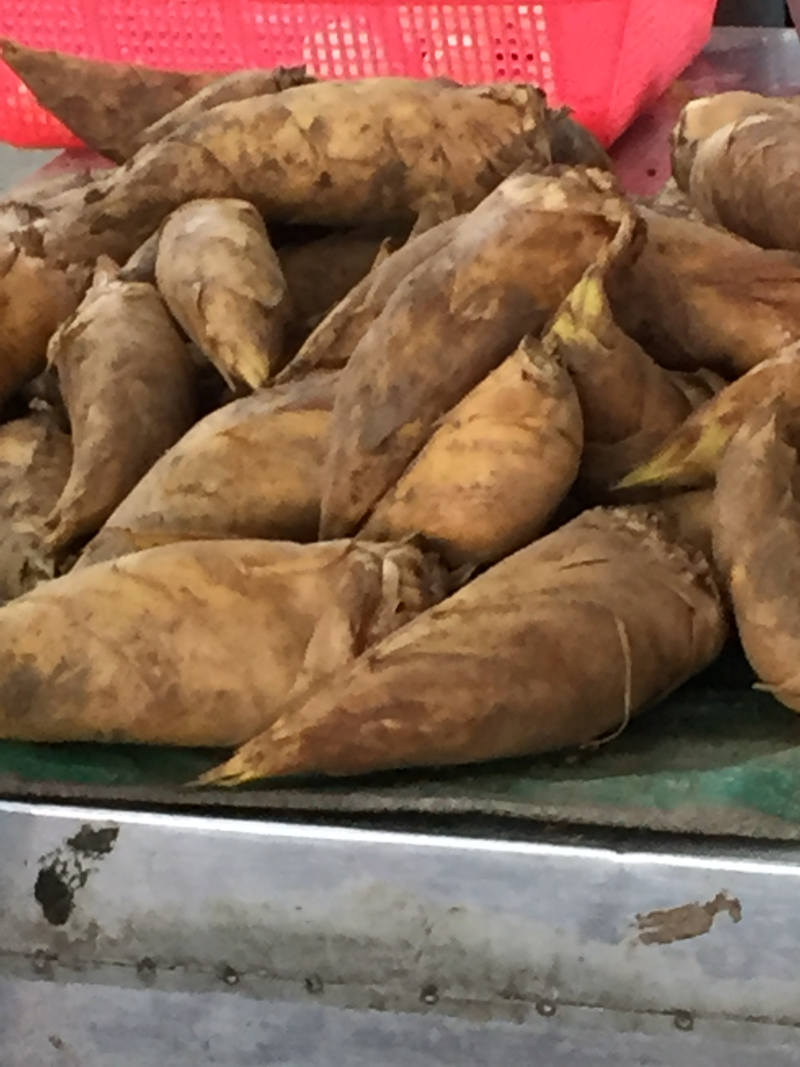 冬笋三两以上发货现挖现发，