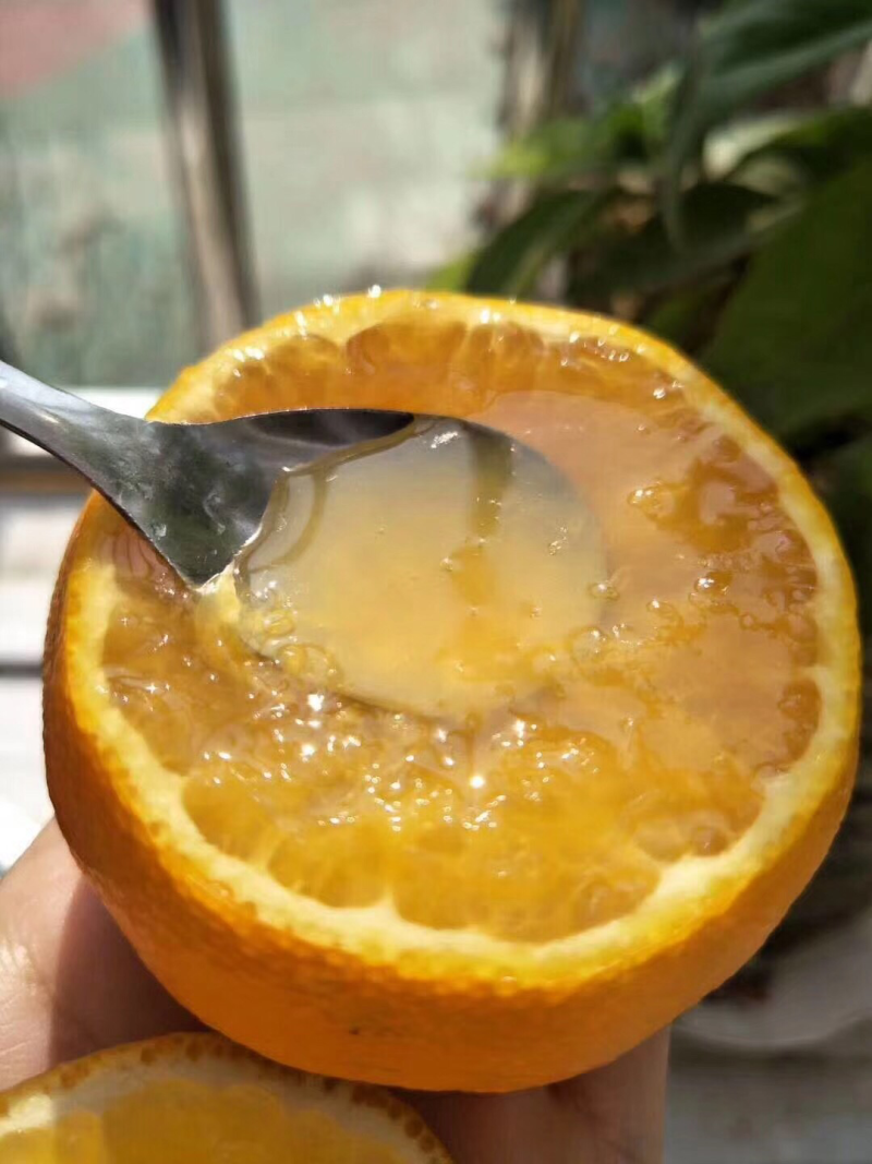 脐橙