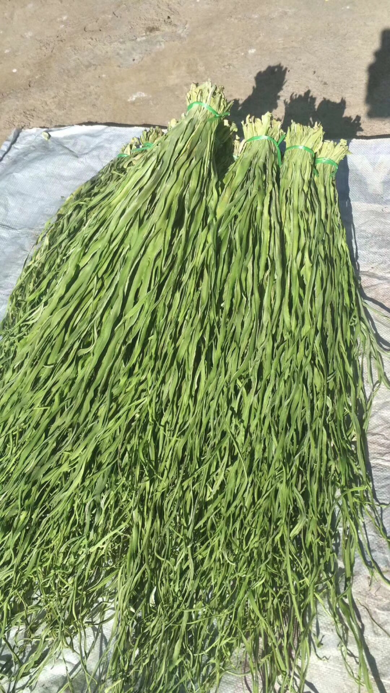 云南贡菜干产地批发10斤装苔干响菜火锅食材预制菜韩国泡菜