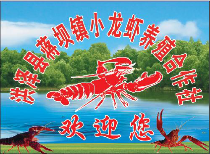 水草伊乐藻龙虾螃蟹专用水草