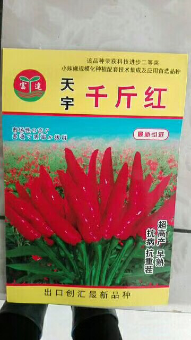 辣椒种子