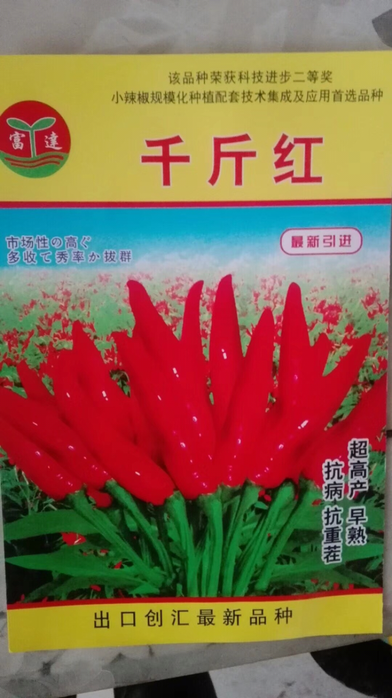 辣椒种子