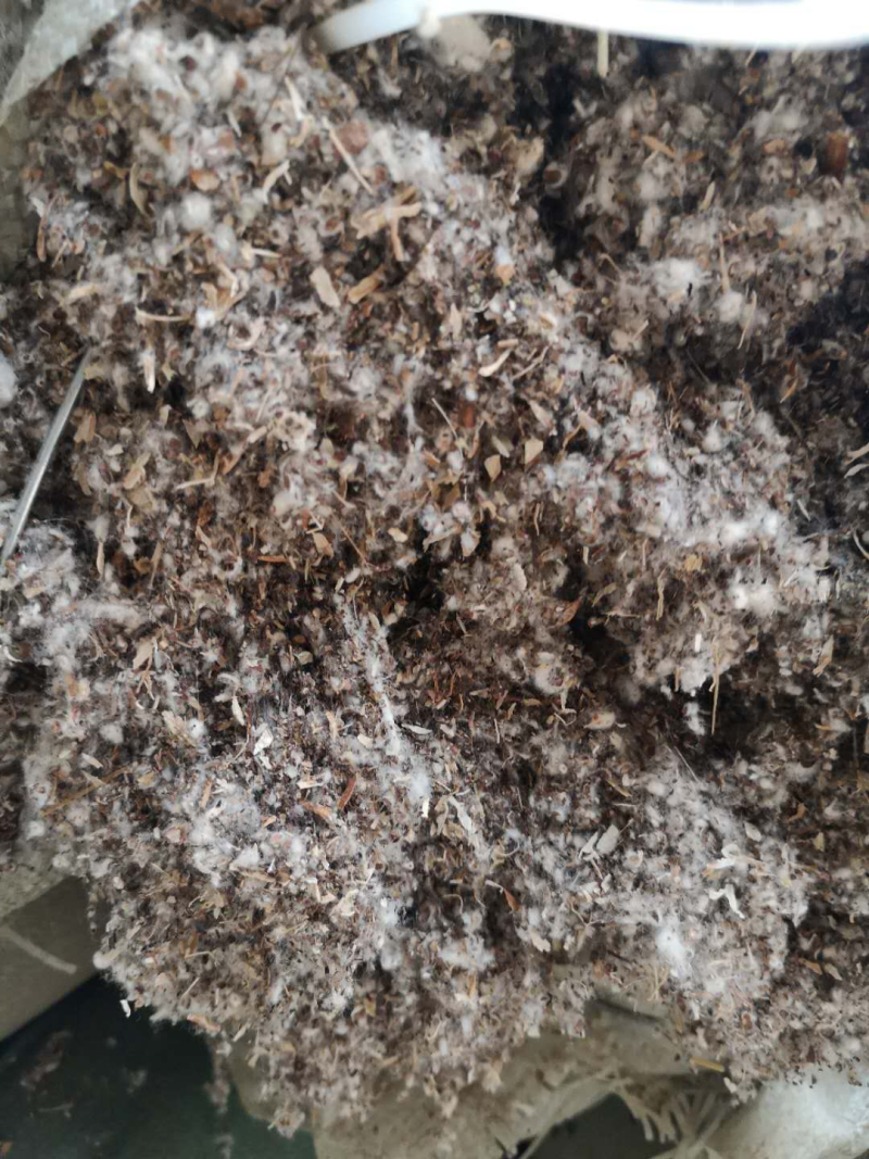 【精品推荐】好棉渣籽成本低营养成分高保水锁水力强饲料肥料