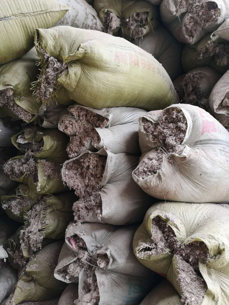 【精品推荐】好棉渣籽成本低营养成分高保水锁水力强饲料肥料