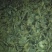 秋耳一级