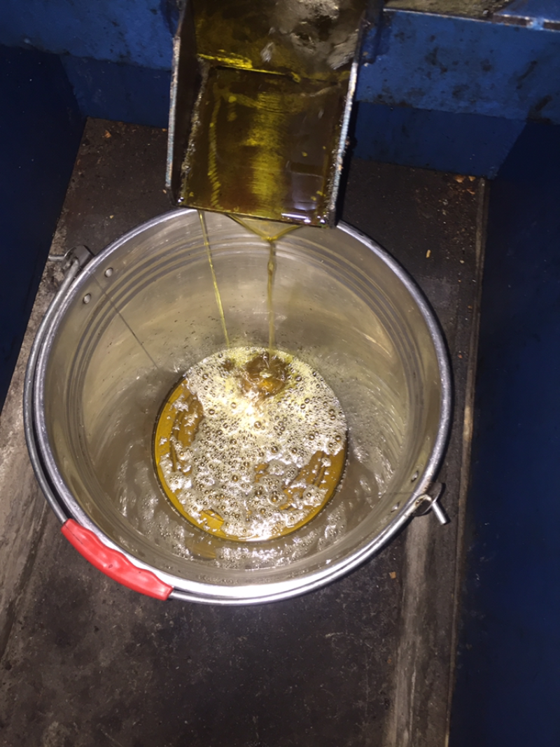 山茶油山茶籽正宗野生植物油