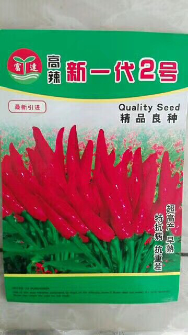 辣椒种子