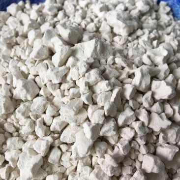 纯红薯粉求购