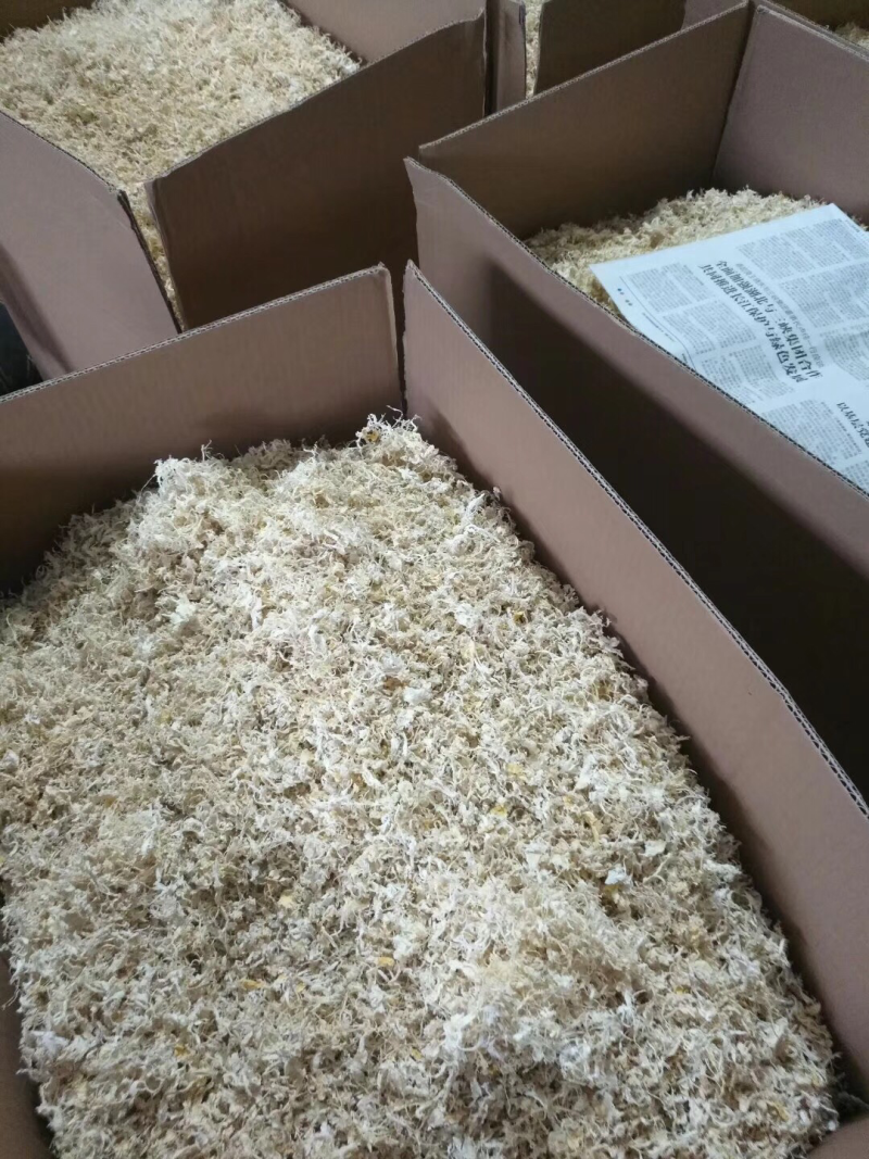 橘络