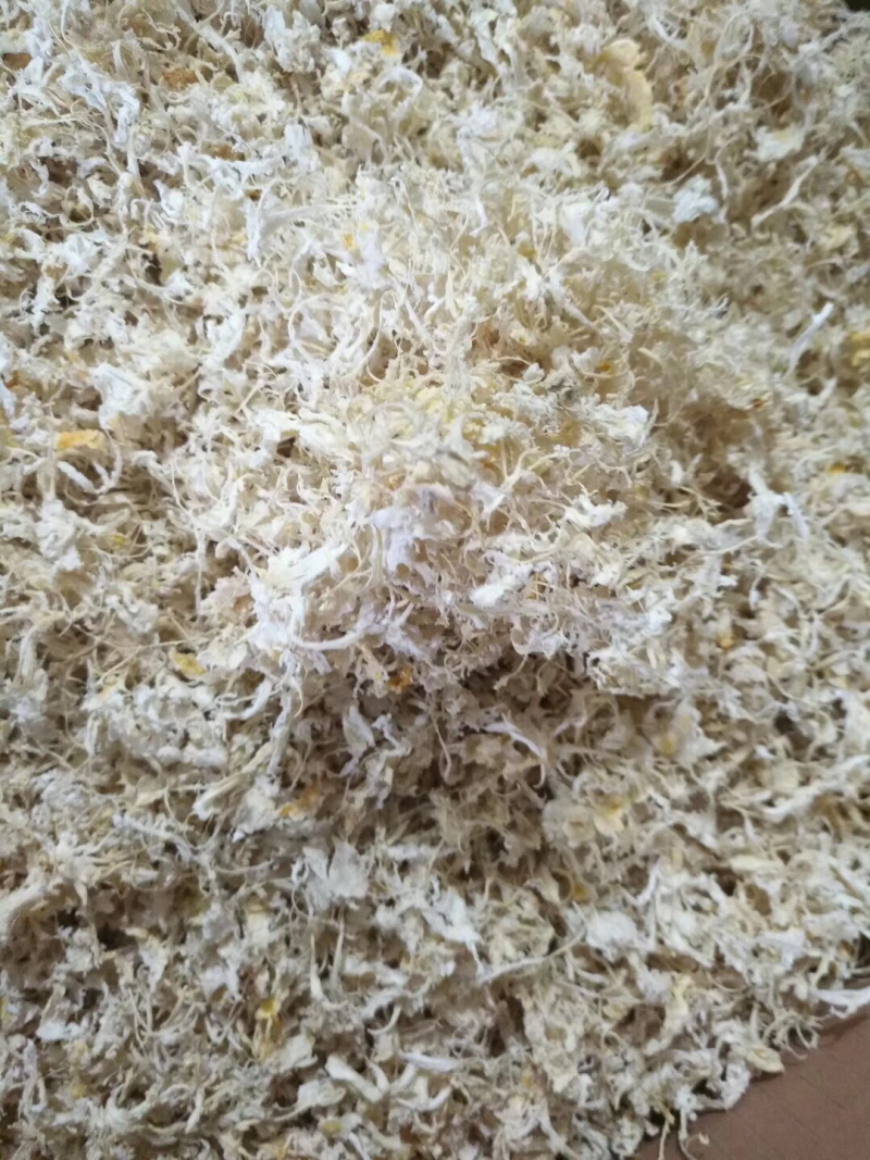 橘络