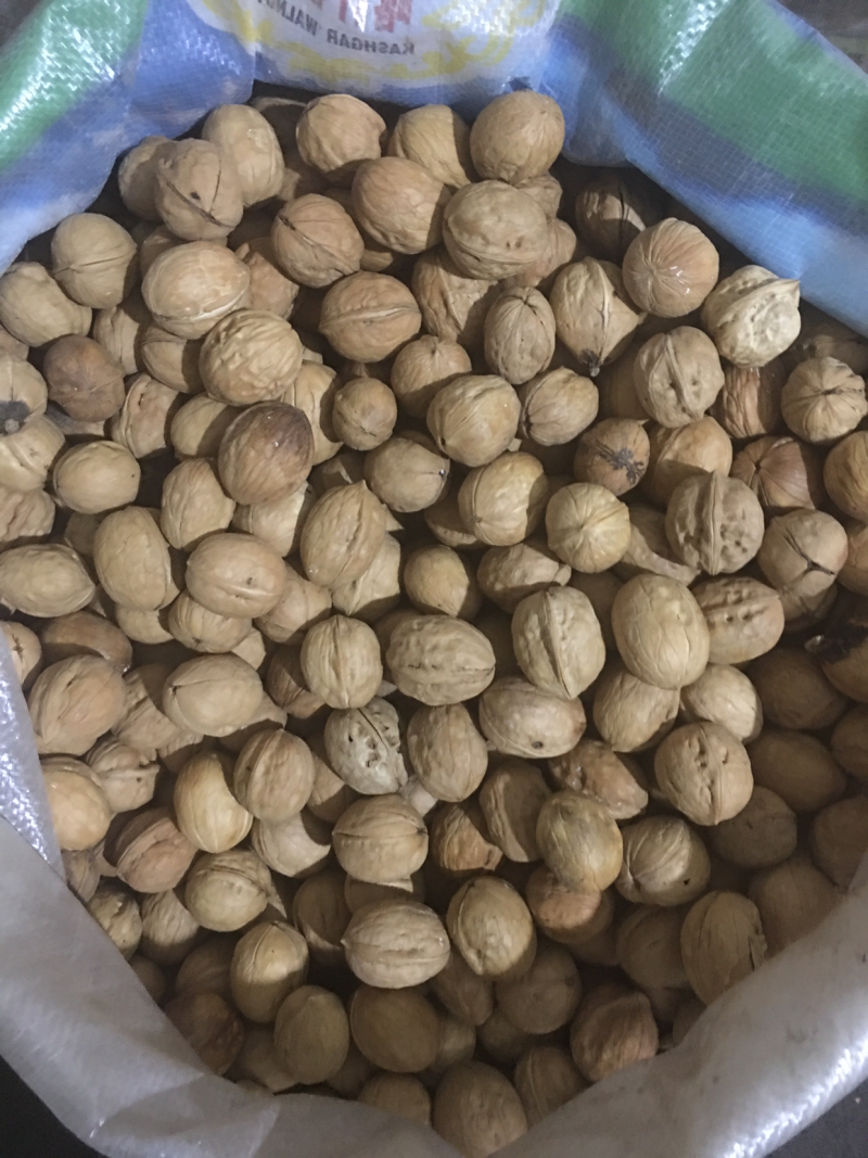 新疆核桃