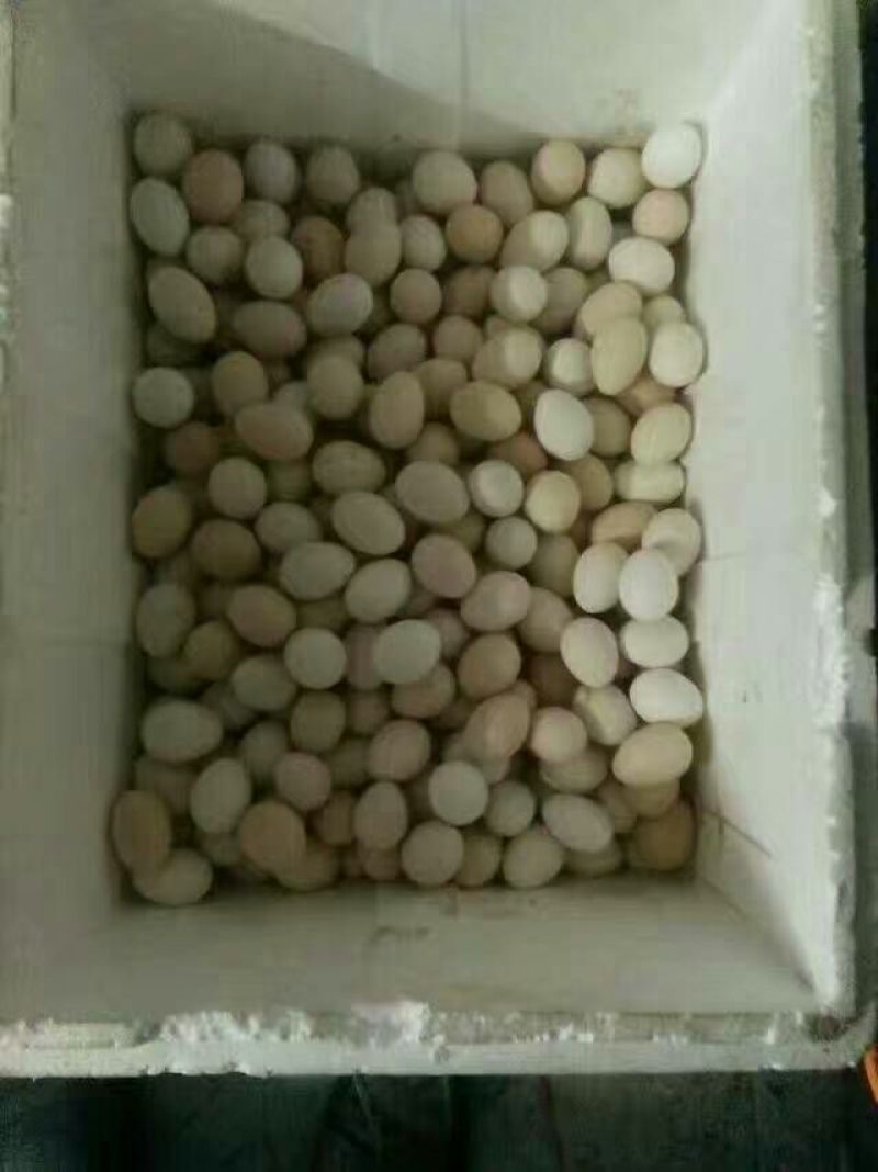 土鸡蛋食用40~50g