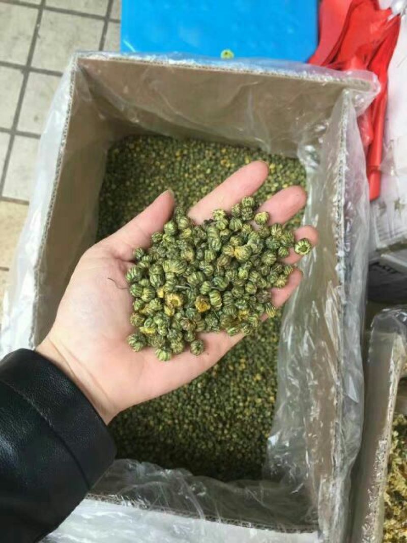 野菊花颗粒