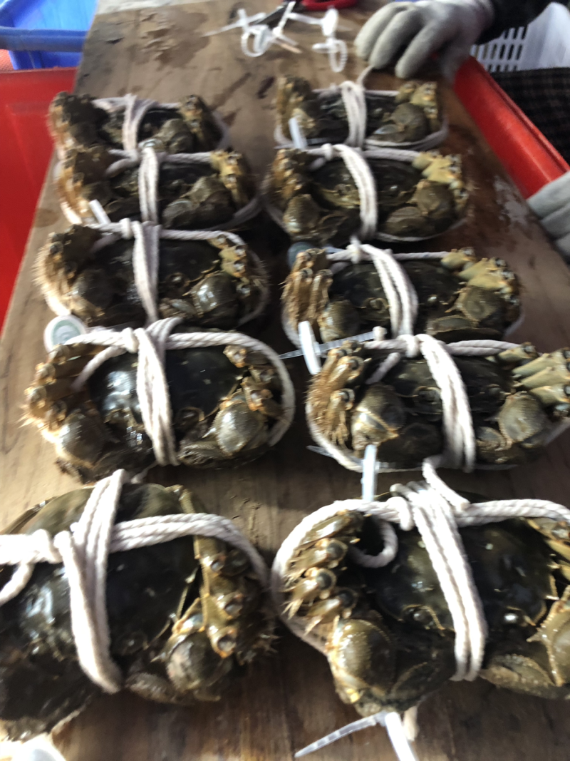 阳澄湖清水蟹