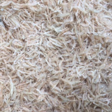 虾皮