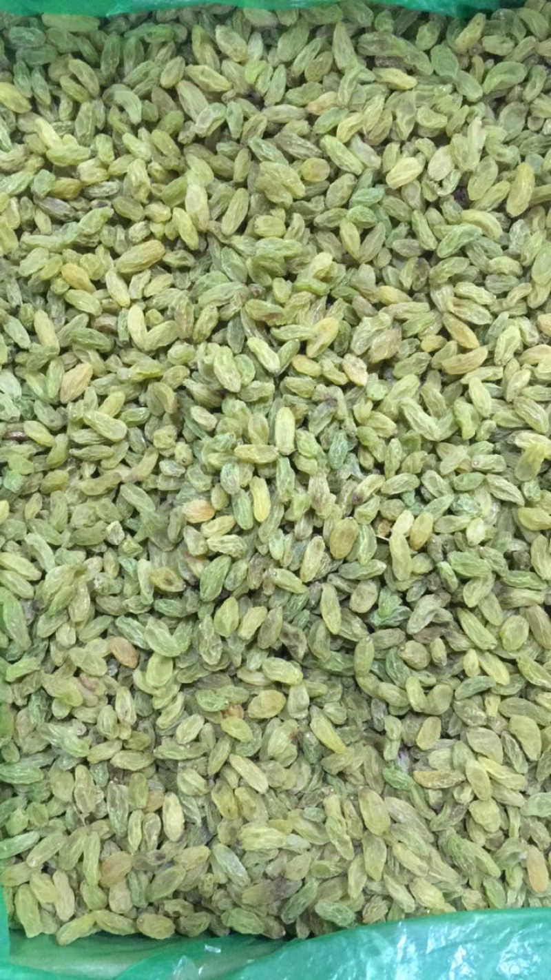 特级绿葡萄干