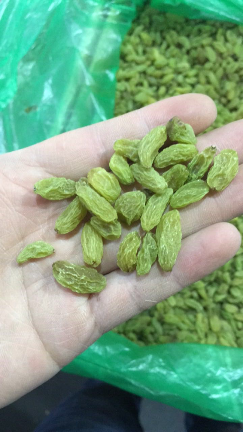 特级绿葡萄干
