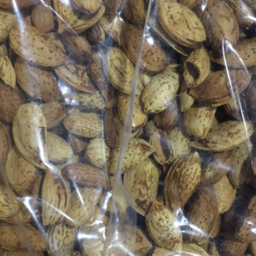新疆巴旦木