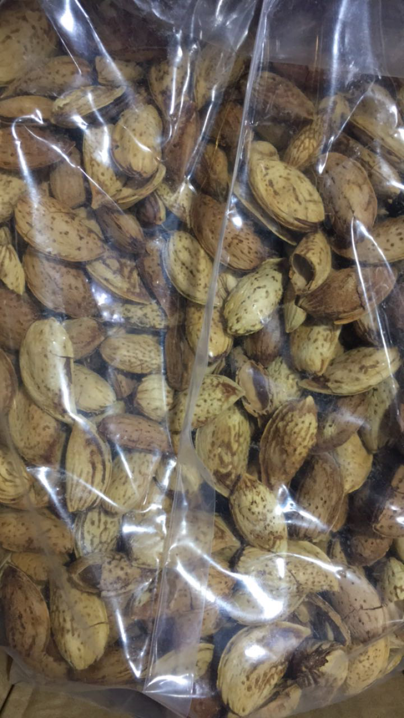 新疆巴旦木
