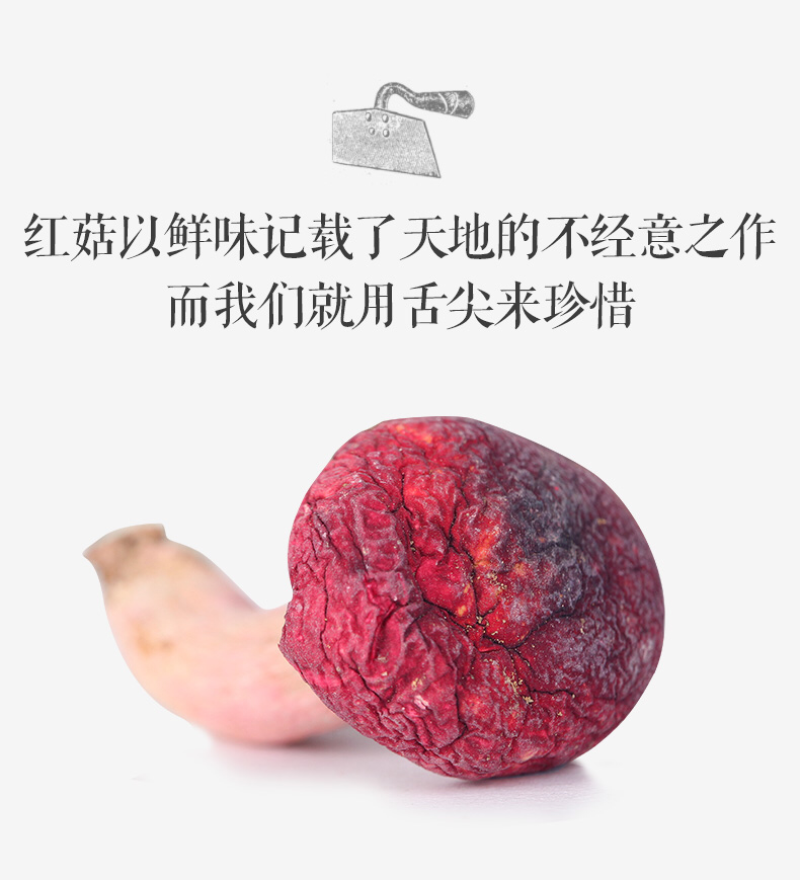 野生正红菇野生红菇