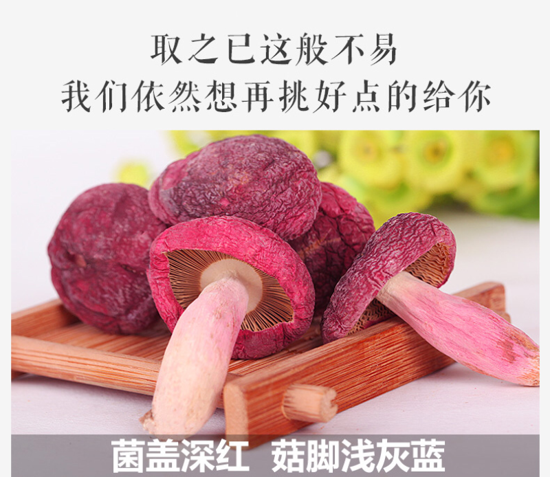 野生正红菇野生红菇