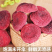 野生正红菇野生红菇