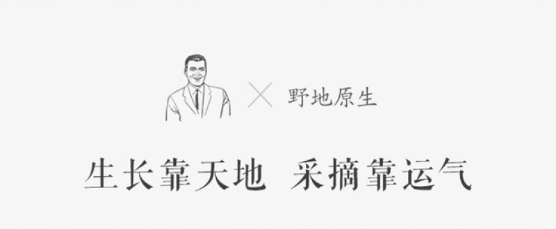 野生正红菇野生红菇