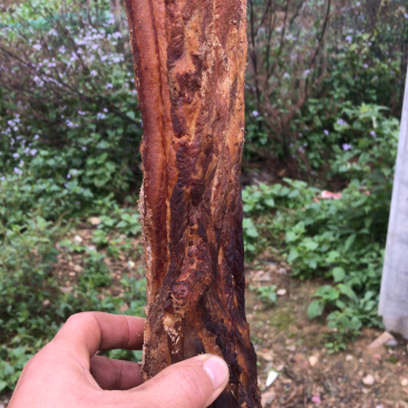腊肉