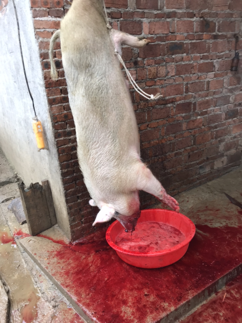 腊肉