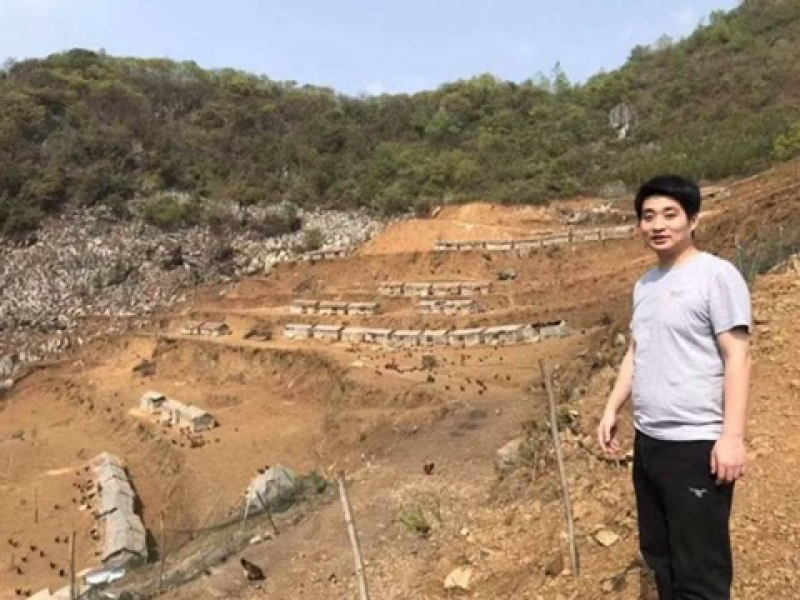 乐平镇补陇村小香鸡