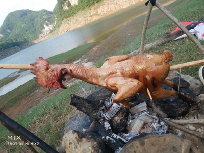 乐平镇补陇村小香鸡
