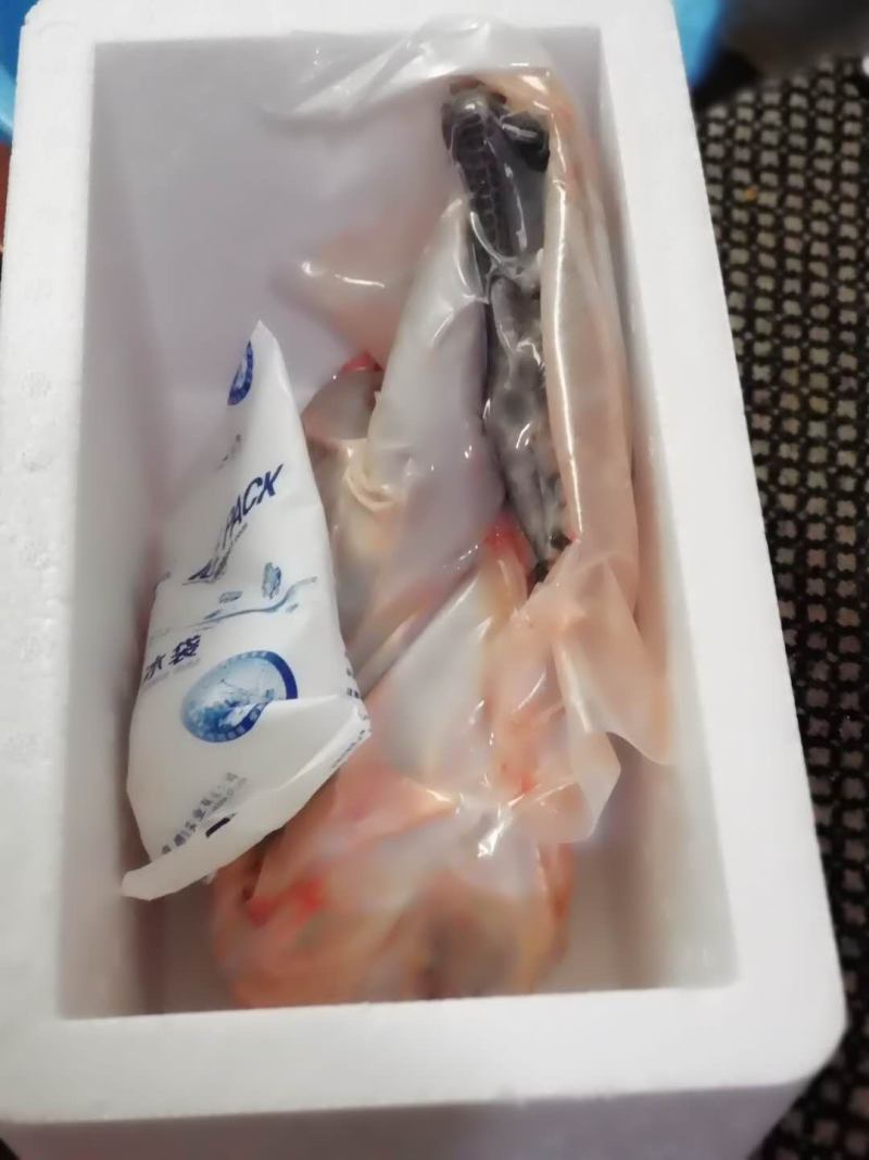 乐平镇补陇村小香鸡