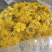 中药材金丝皇菊