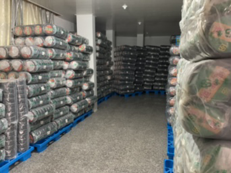 头水紫菜