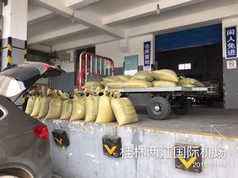 枳壳籽优质大叶枳壳(