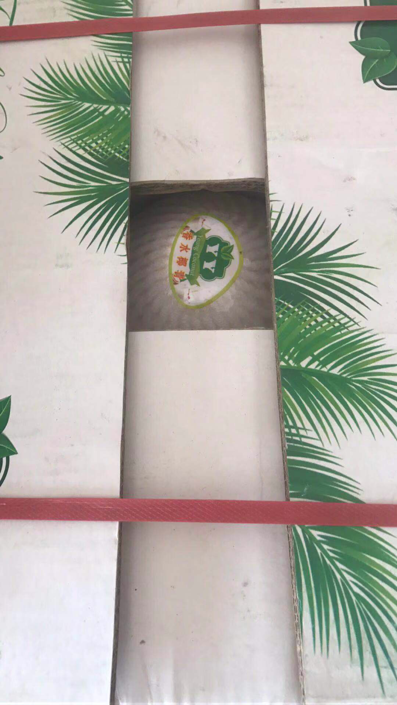 泰国香水椰青九个装