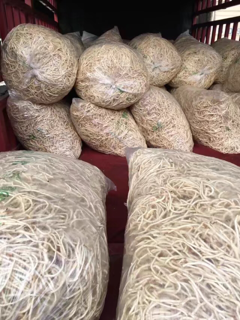 鱼腥草折耳根