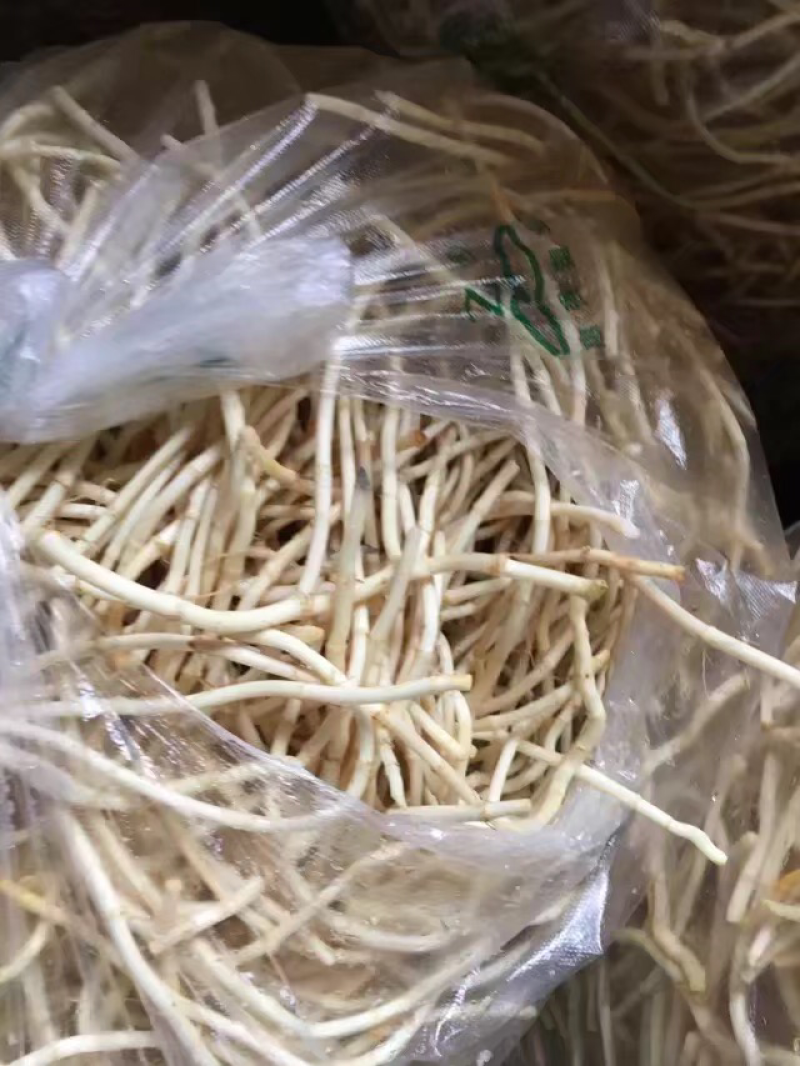 鱼腥草折耳根